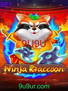 NinjaRaccoon